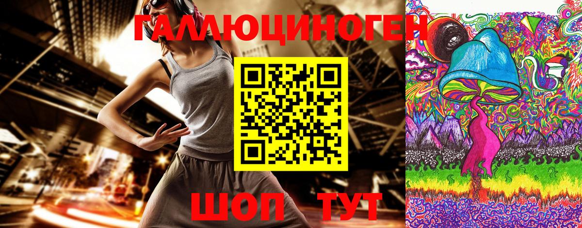 Шатура  Псилоцибиновые грибы Psilocybe  Вход с VPN 