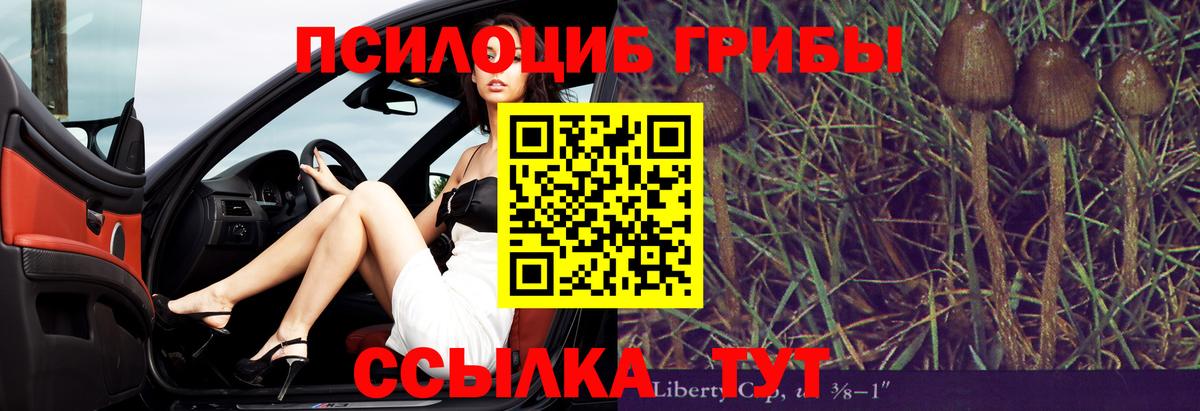 Псилоцибиновые грибы Cubensis Шатура